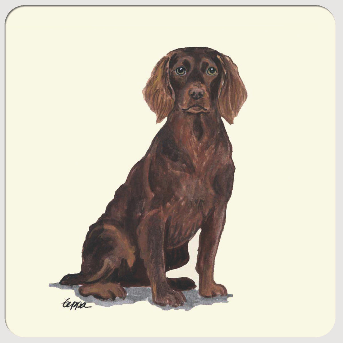 Boykin Spaniel Beverage Coasters