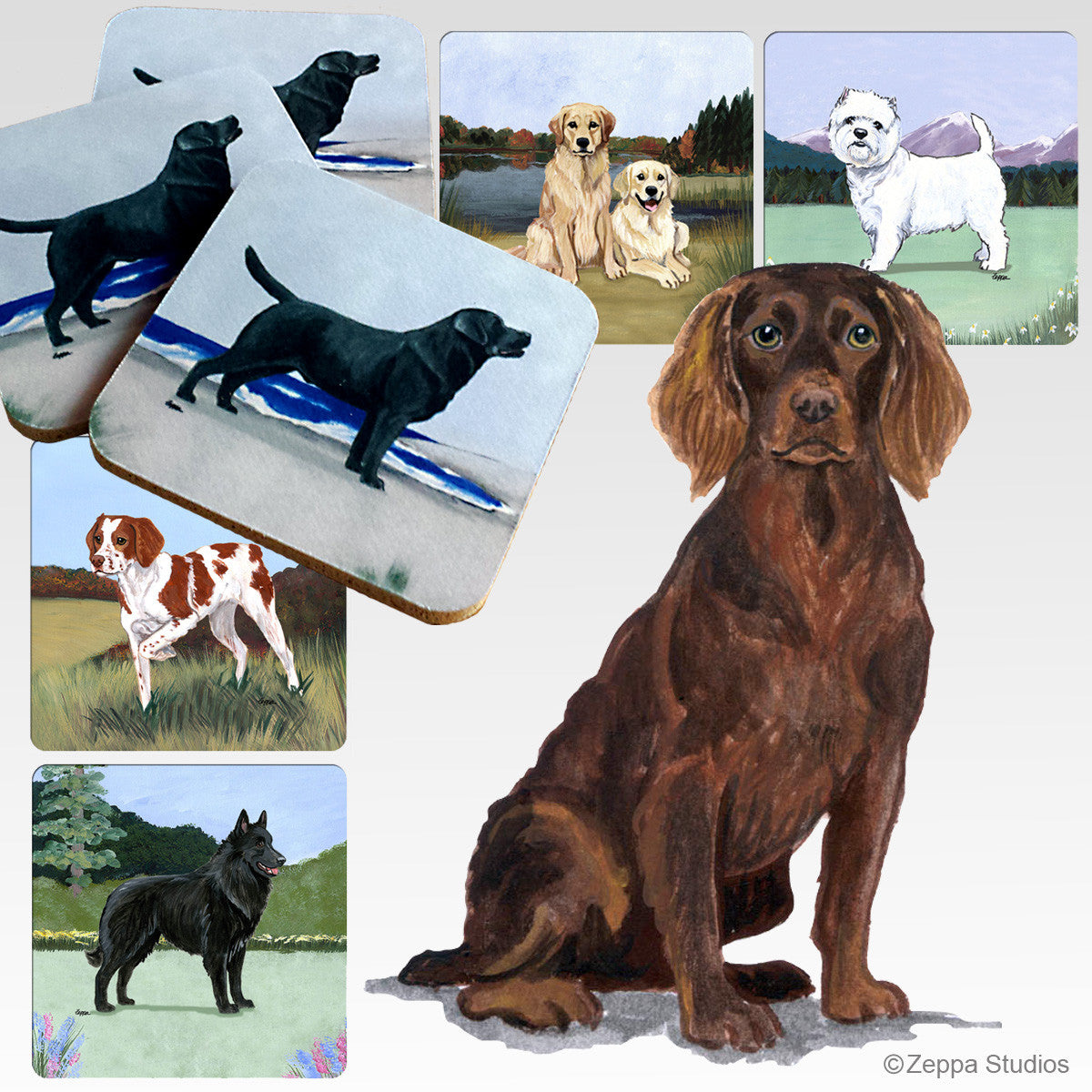 Boykin Spaniel Scenic Coasters