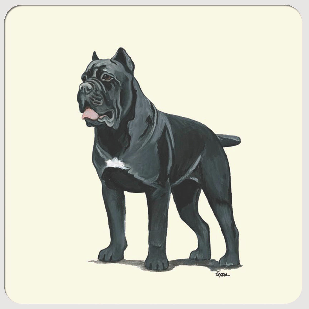 Cane Corso Beverage Coasters