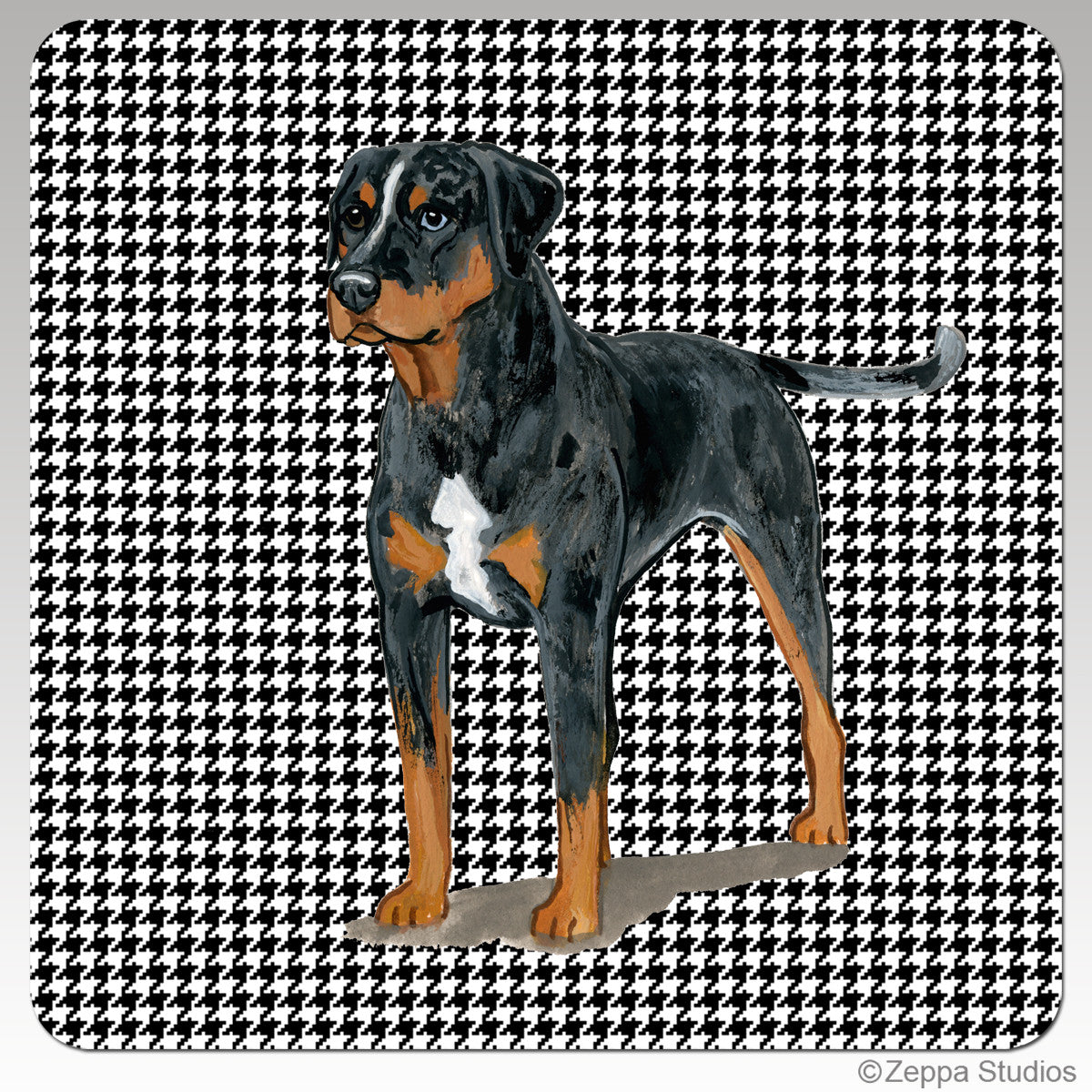 Catahoula Leopard Dog Houndzstooth Coasters