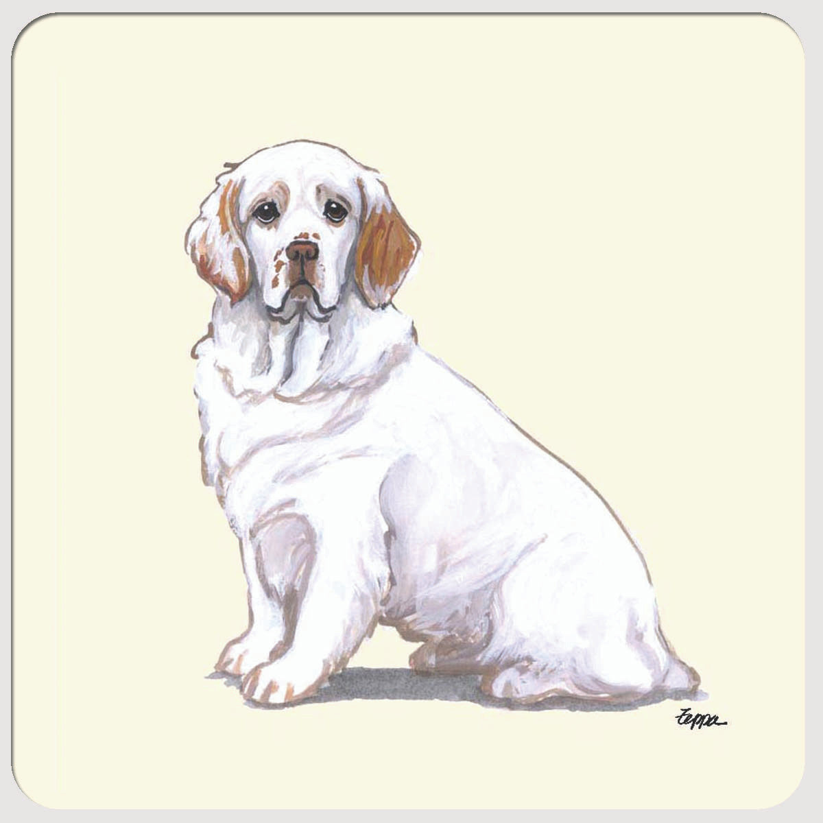 Clumber Spaniel Beverage Coasters