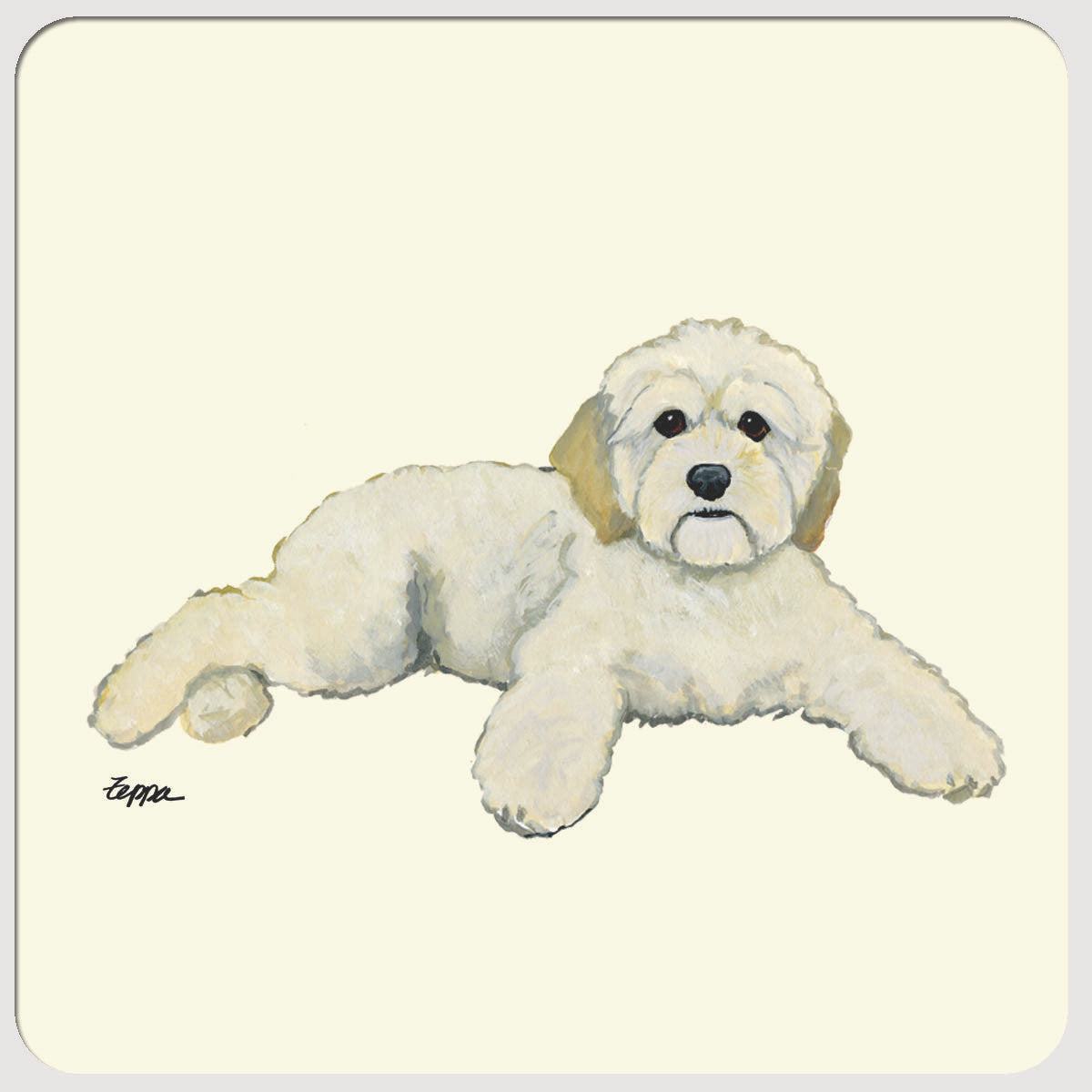 Cockapoo Beverage Coasters