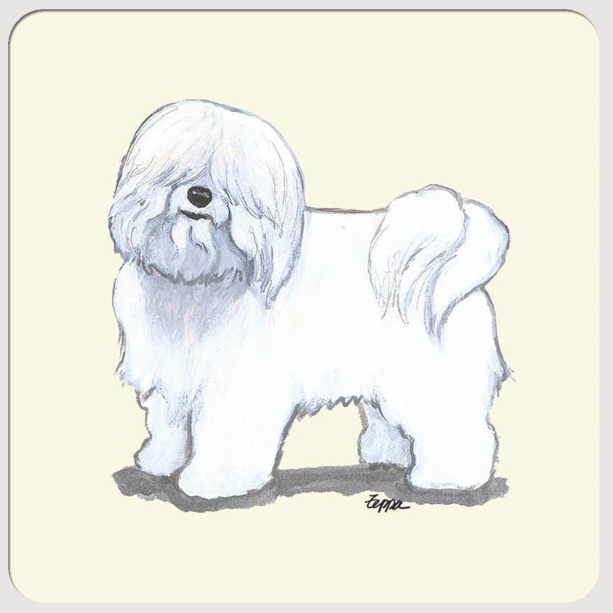 Coton du Tulear Beverage Coasters