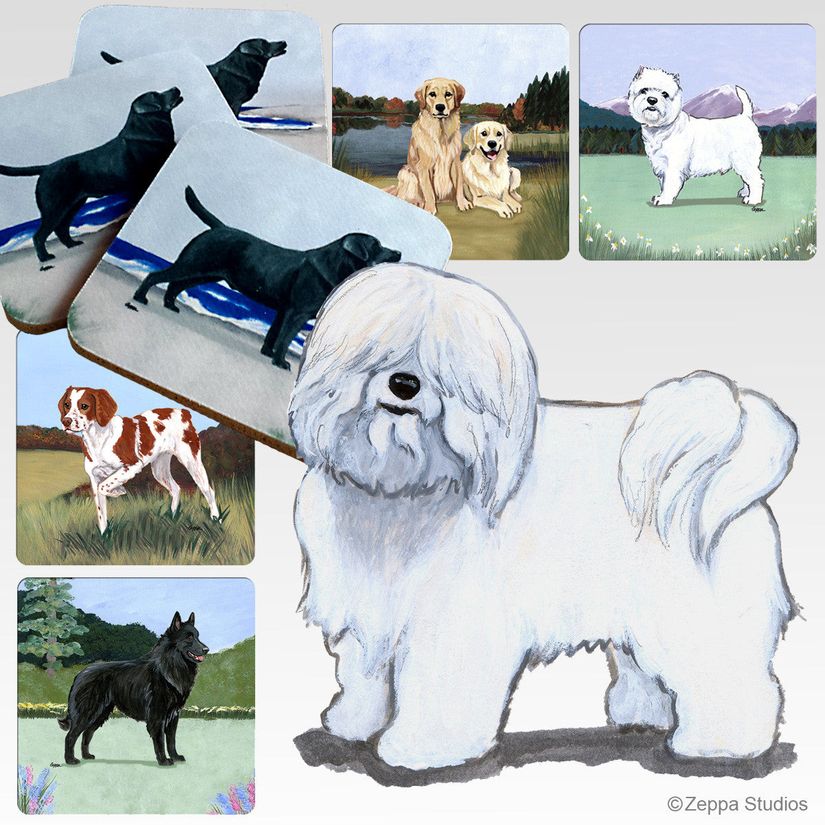 Coton du Tulear Scenic Coasters