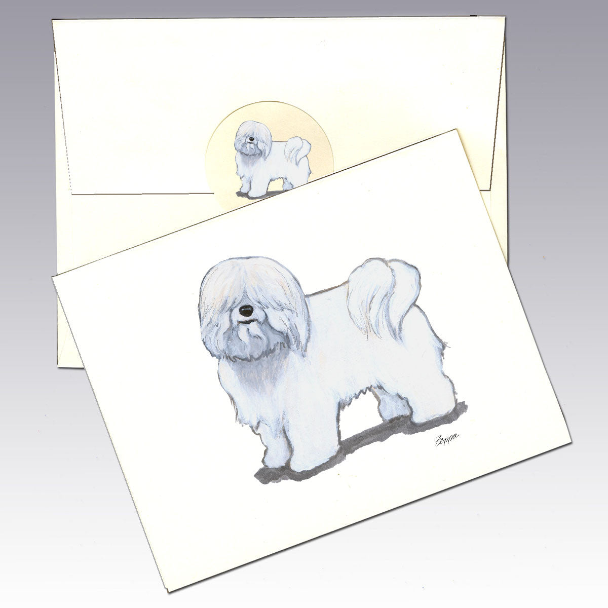 Coton du Tulear