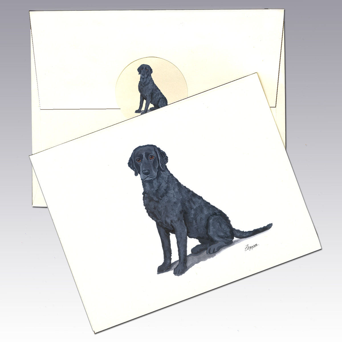 Curly Coated Retriever