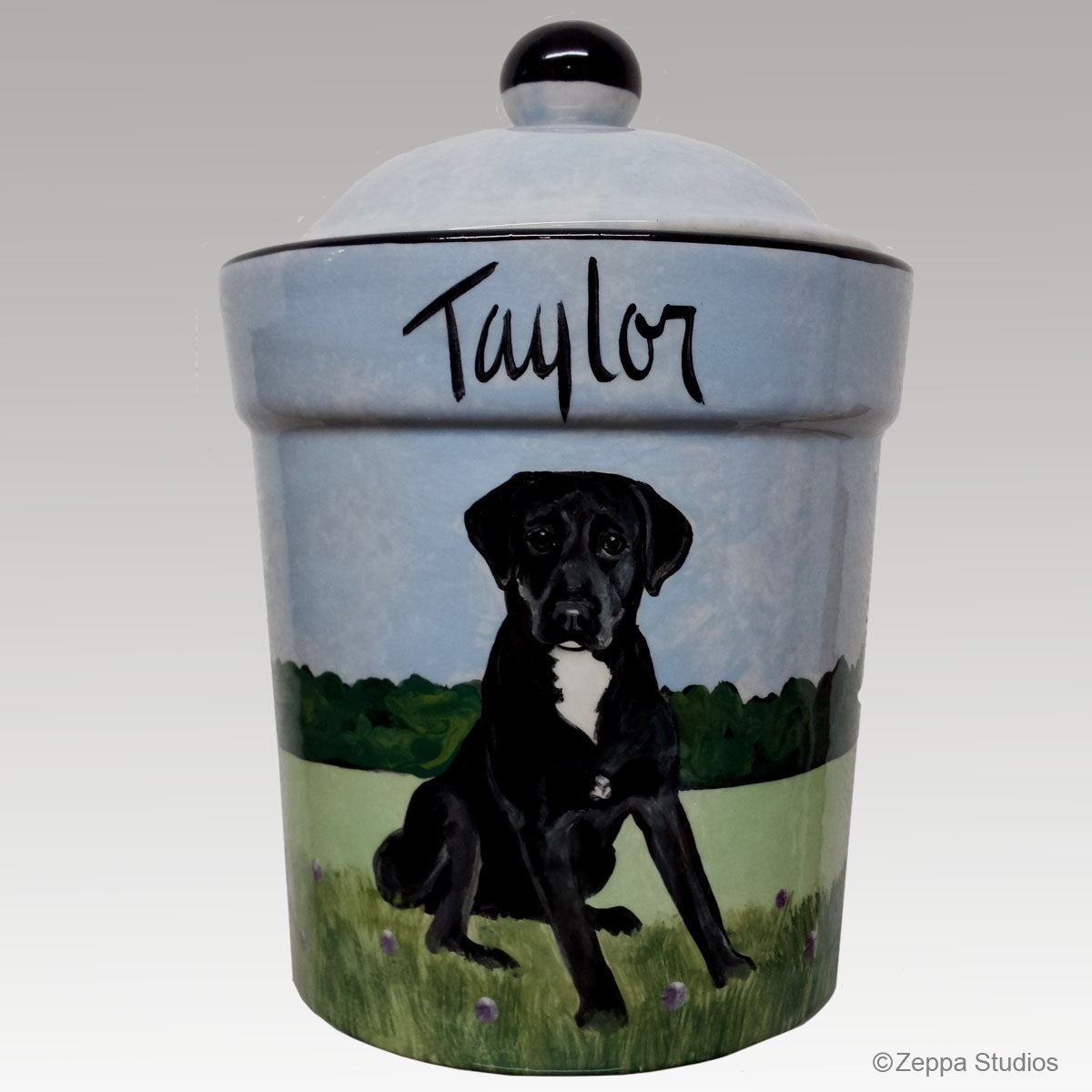 Custom Hand Painted Ceramic Treat Jar, Taylor by Zeppa Studios