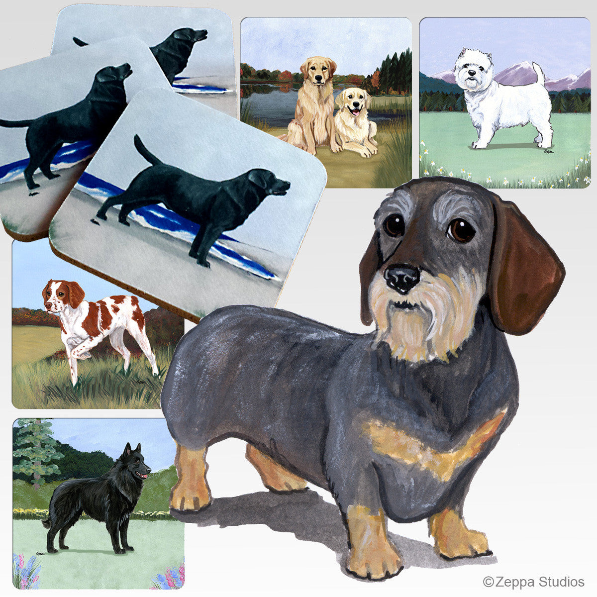 Wirehaired Dachshund Scenic Coasters