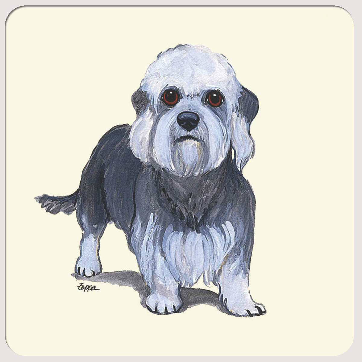 Dandi Dinmont Terrier Beverage Coasters