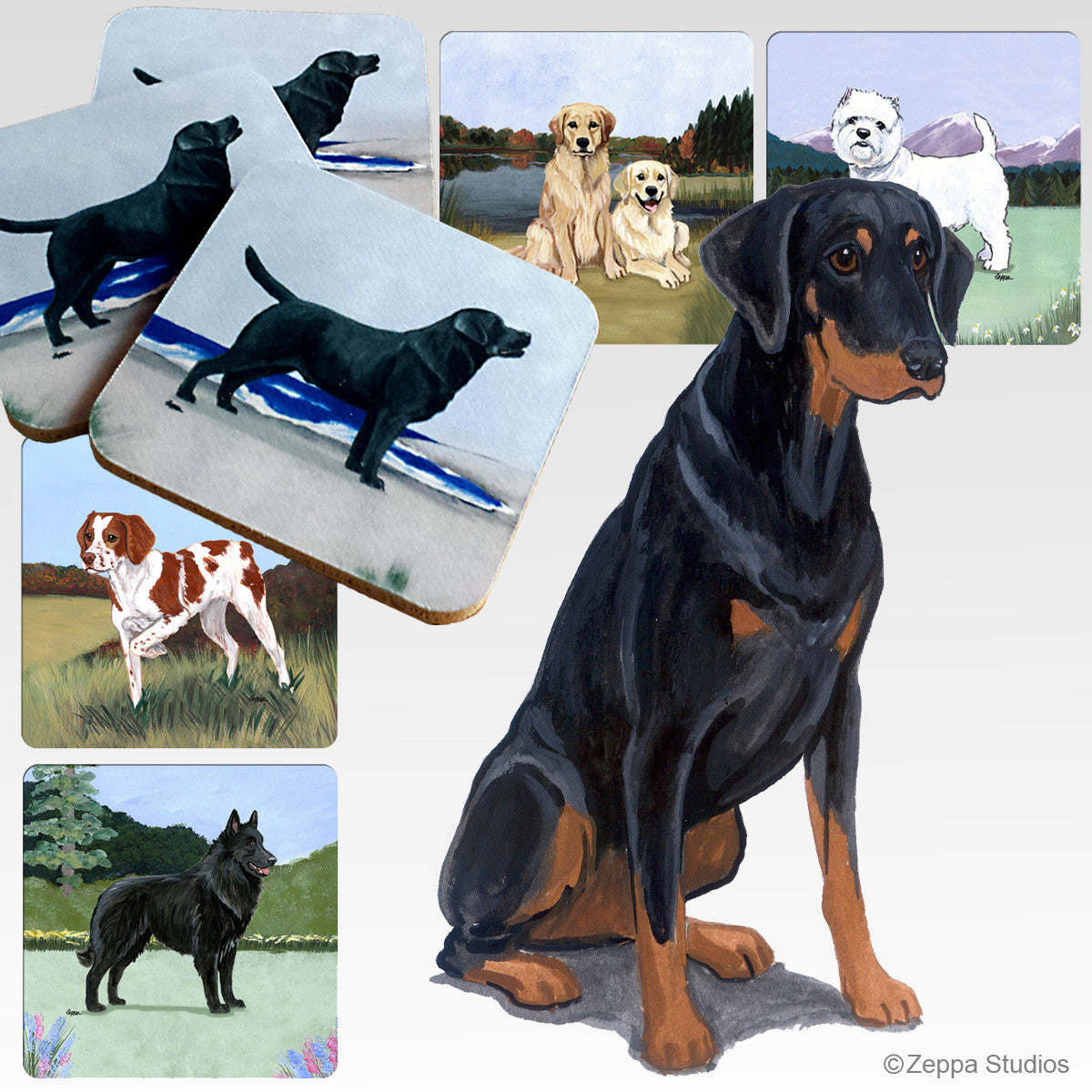 Doberman Pinscher Uncropped Scenic Coasters