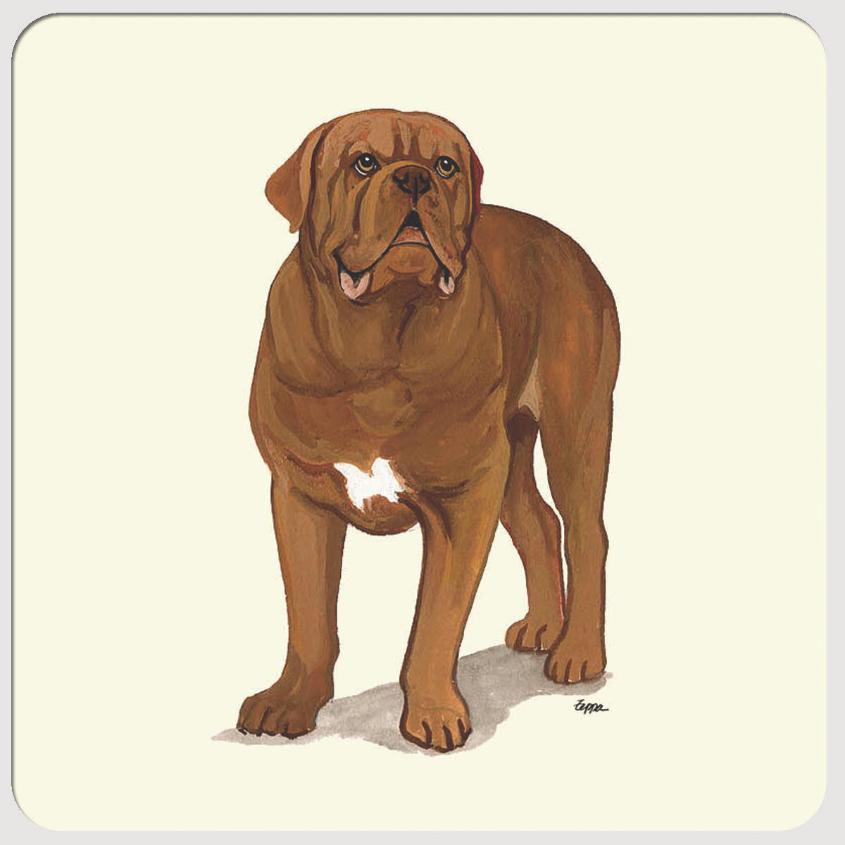 Dogue de Bordeaux Beverage Coasters