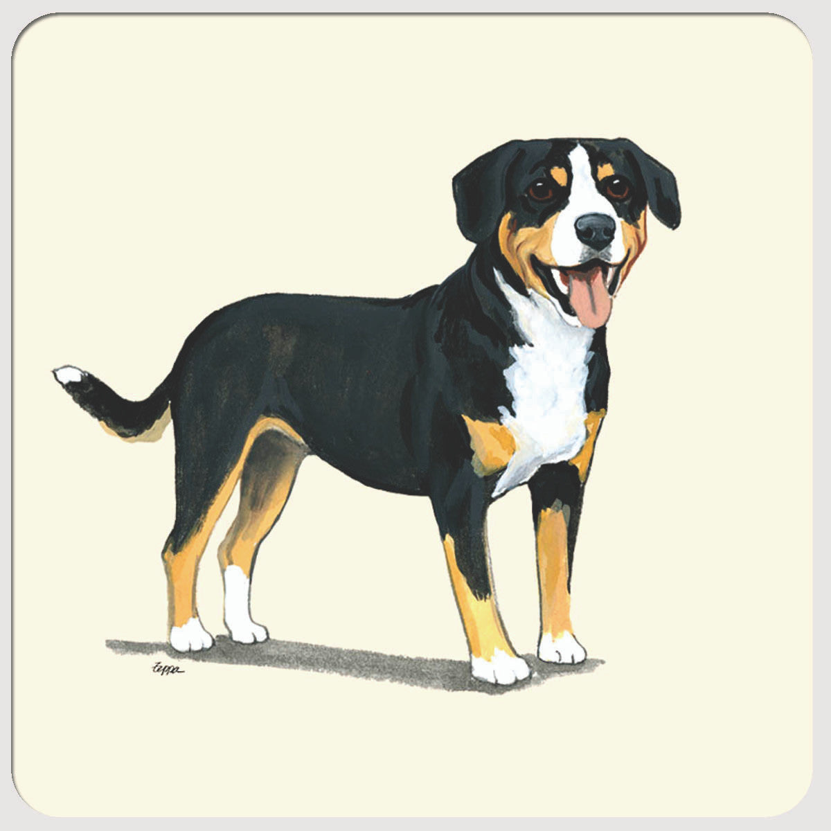 Entelbucher Mountain Dog Beverage Coasters