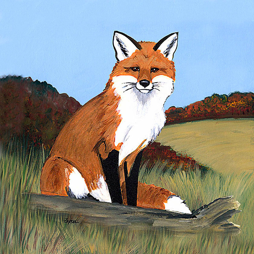 Sitting Fox Scenic Beverage Coasters