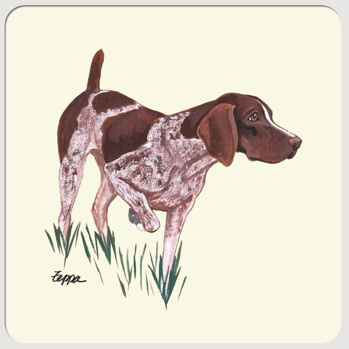 German Shorthair Pointer Beverage Coasters