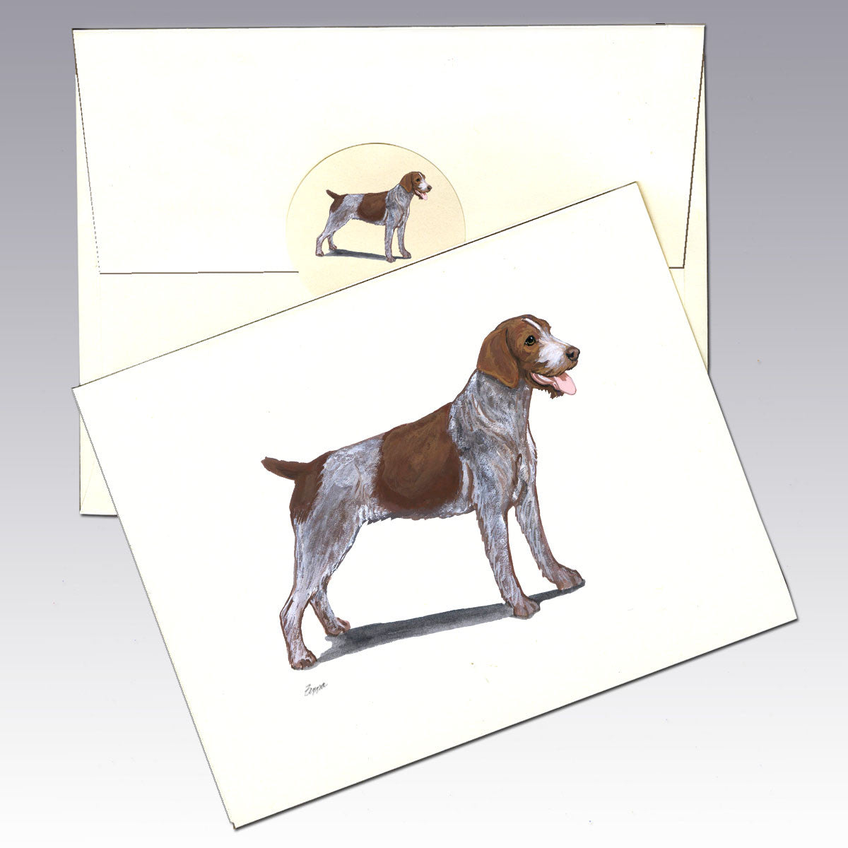 German Wirehaired Pointer