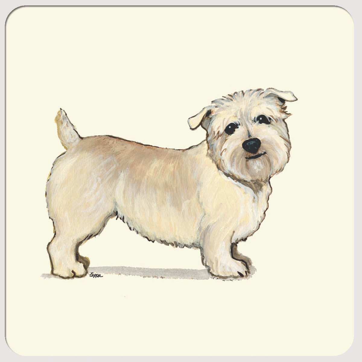 Glen of Imaal Terrier Beverage Coasters