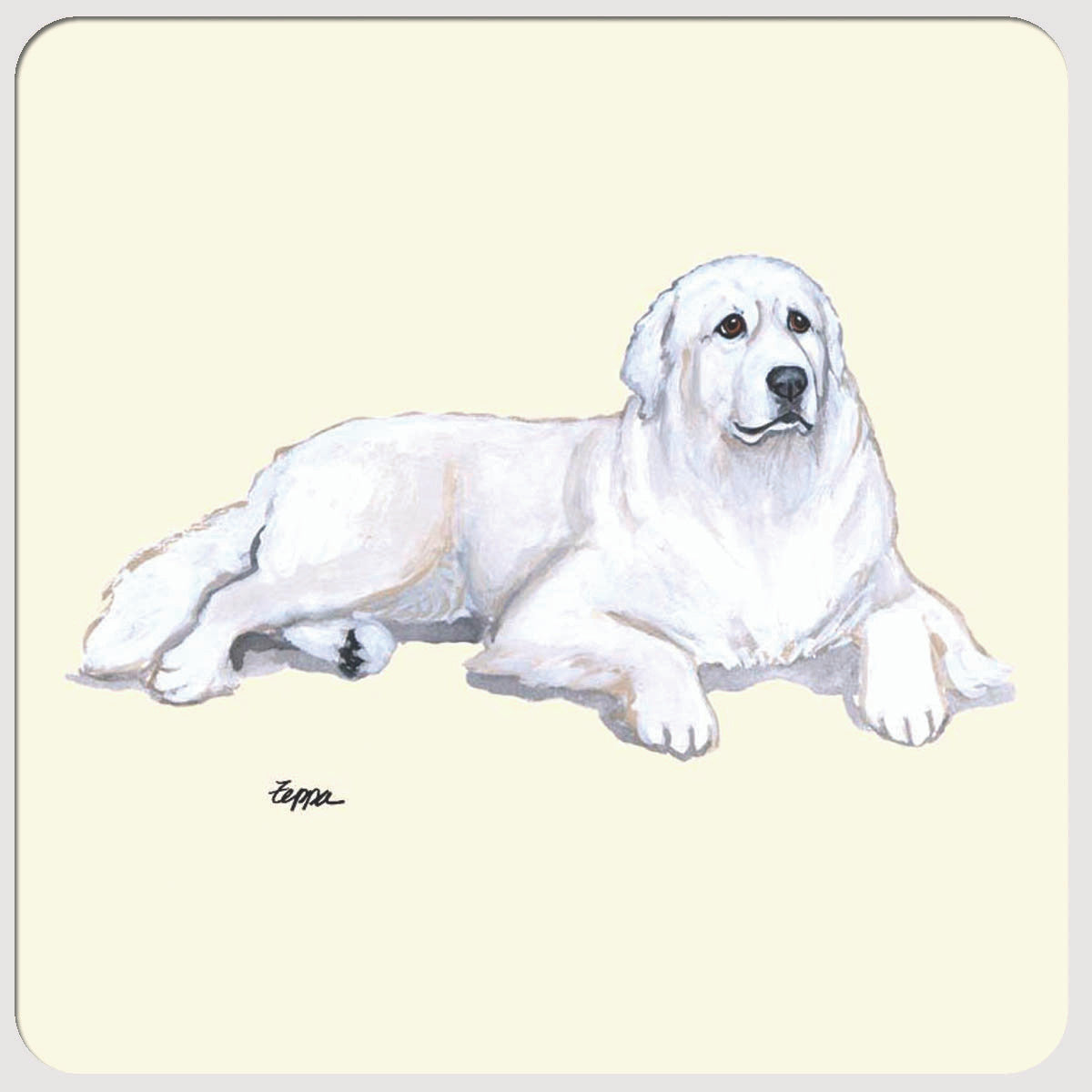 Great Pyrenees Beverage Coasters