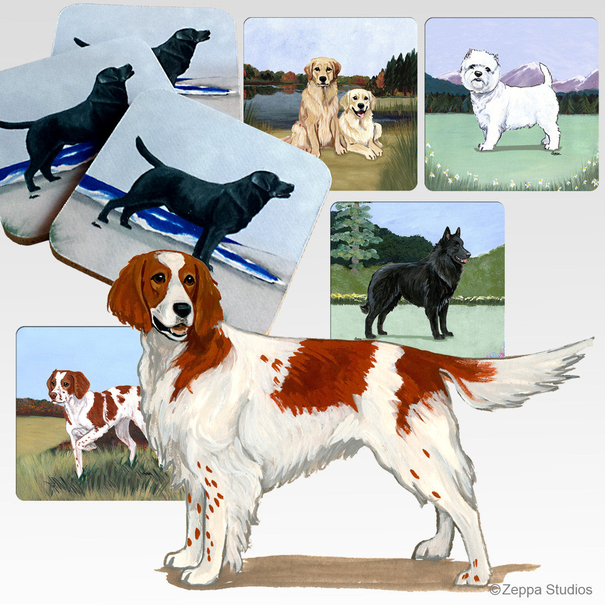 Red & White Irish Setter Scenic Coasters