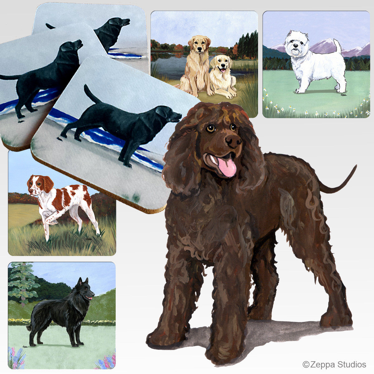 Irish Water Spaniel Scenic Coasters