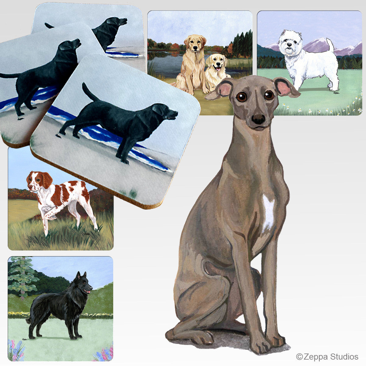 Italian Greyhound Scenic Coasters