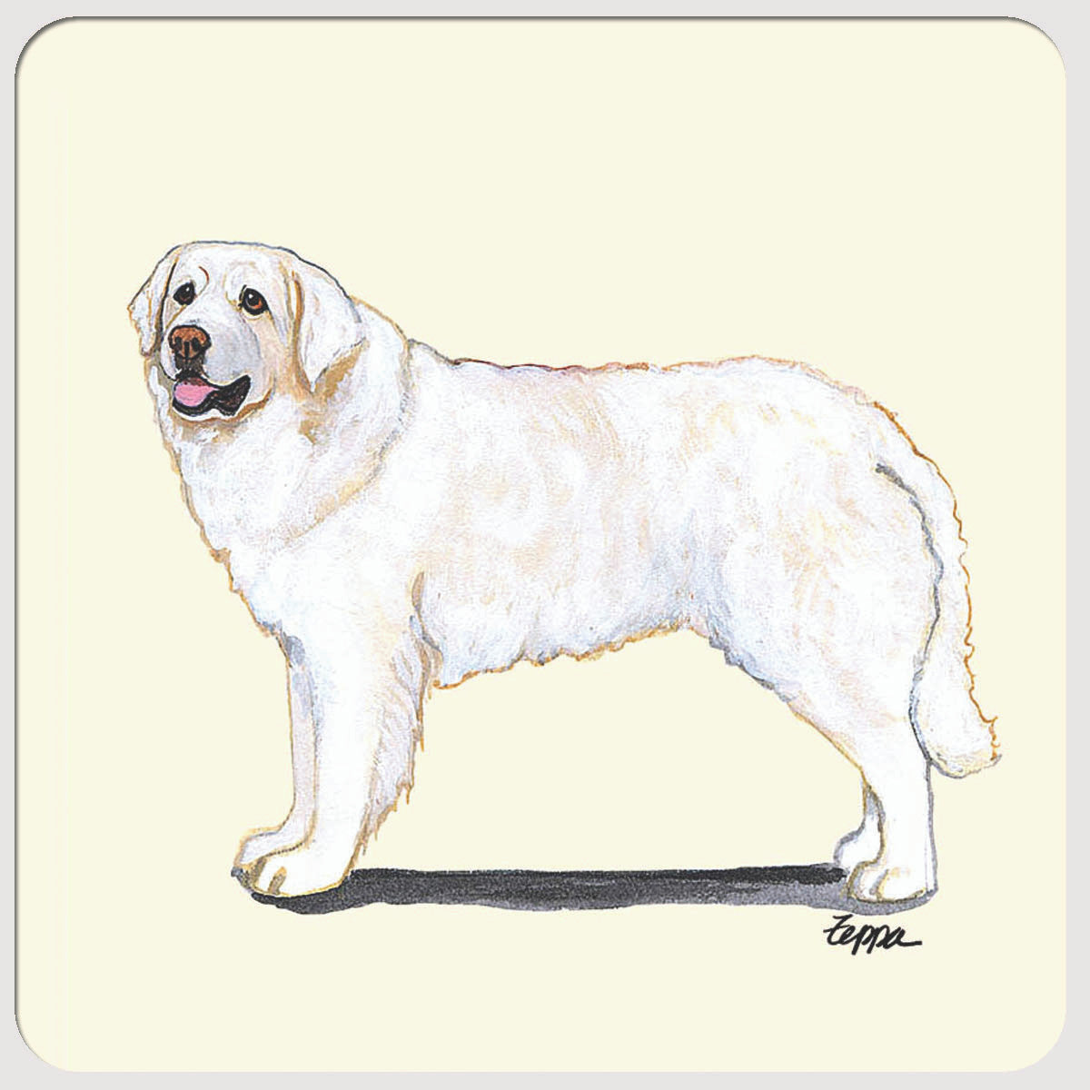 Kuvasz Beverage Coasters