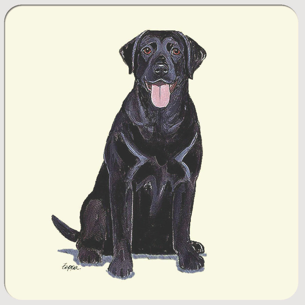 Labrador Retriever, Black Beverage Coasters