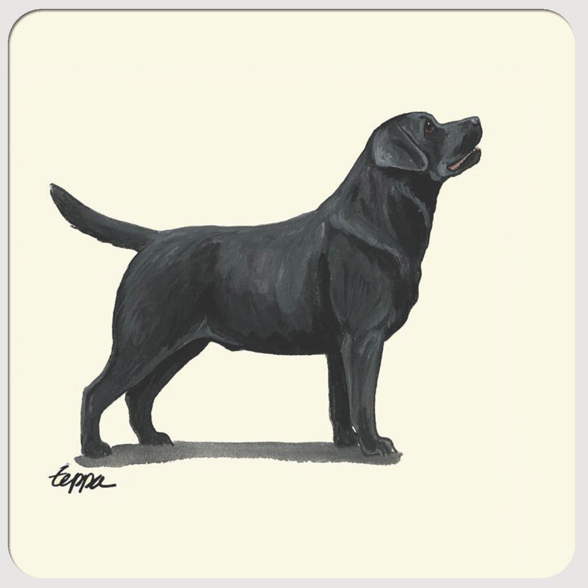 Black Lab Standing Coasters