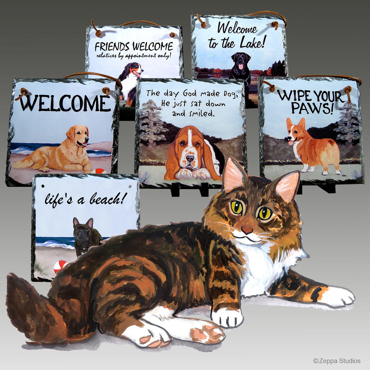 Maine Coon Cat Slate Signs