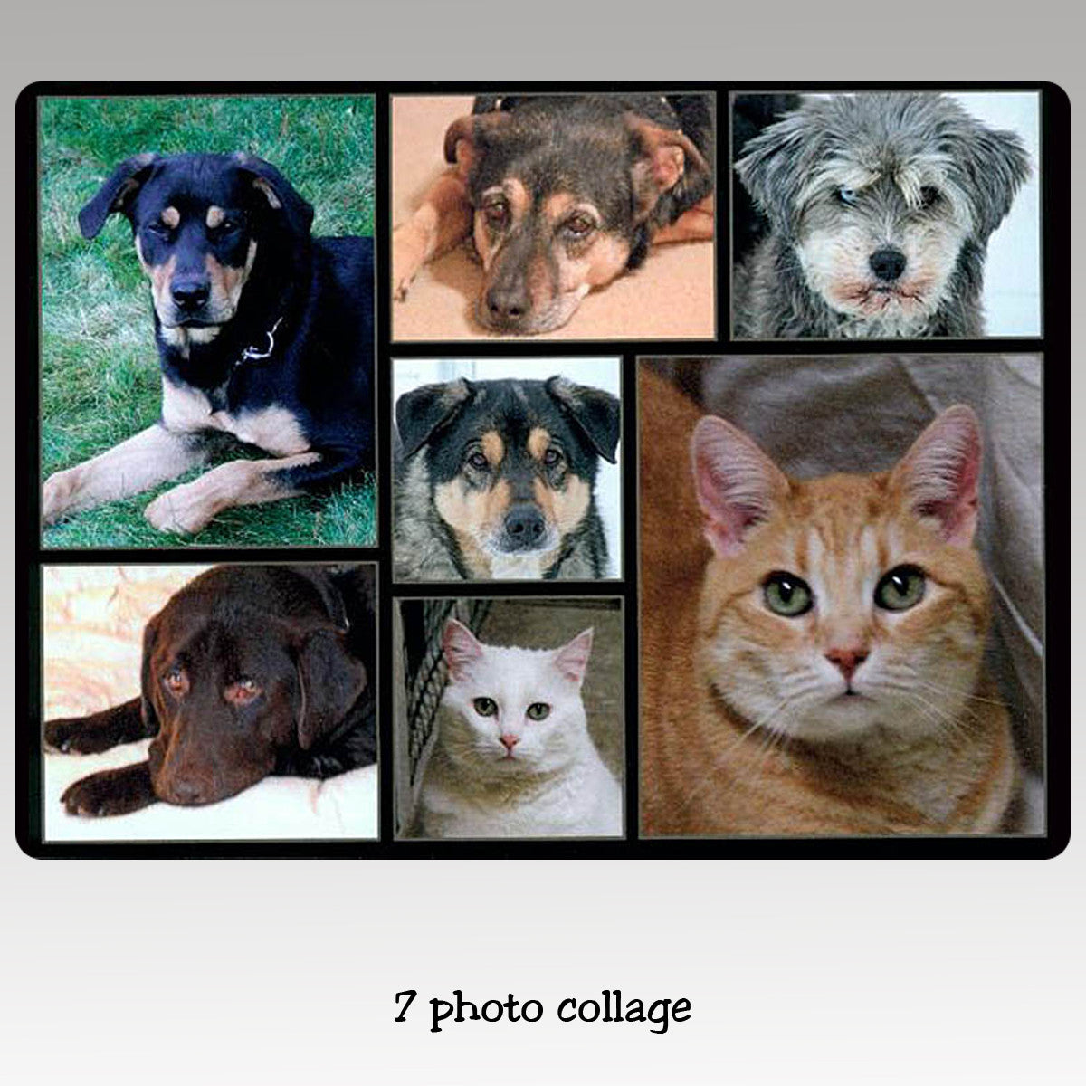 7 image collage on a tempered glass cutting board.