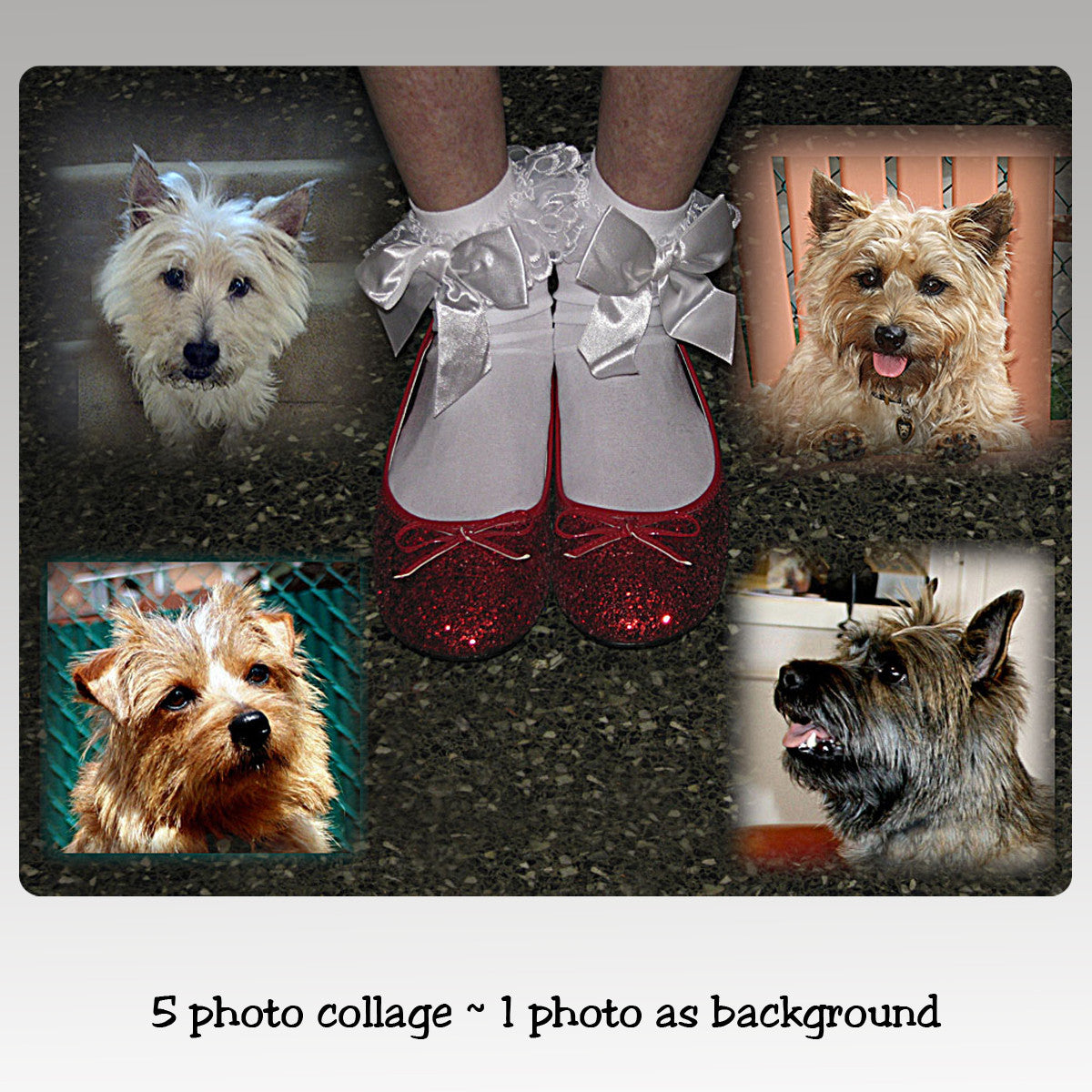 5 image collage, 4 images float on 5th which fills cutting board.