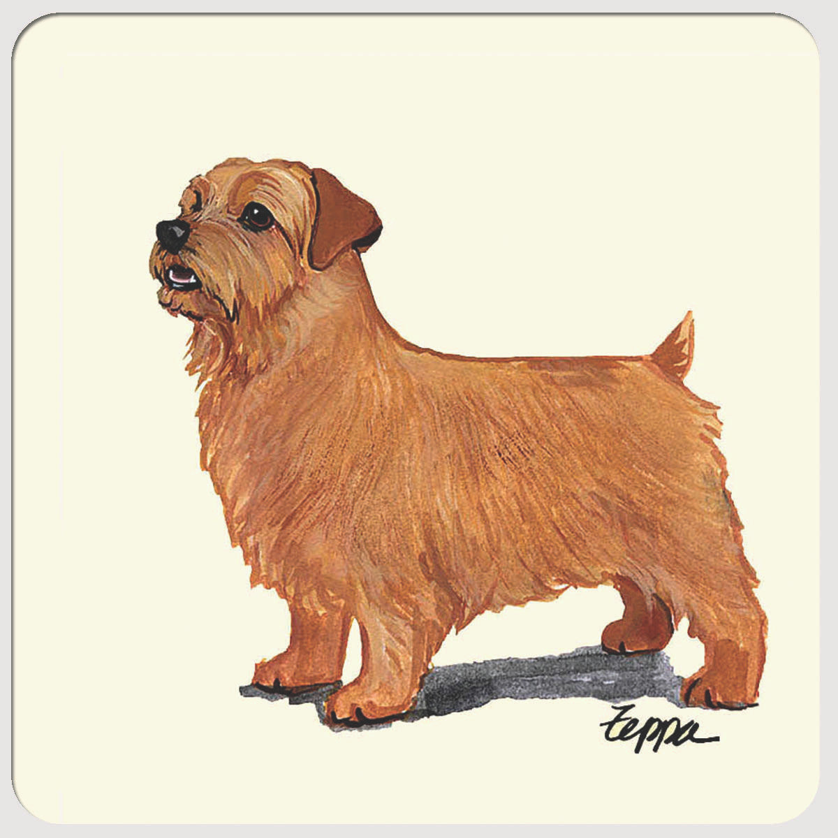 Norfolk Terrier Beverage Coasters