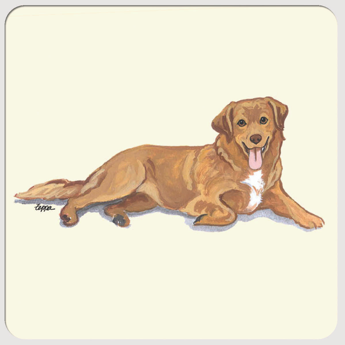 Nova Scotia Duck Tolling Retriever Beverage Coasters