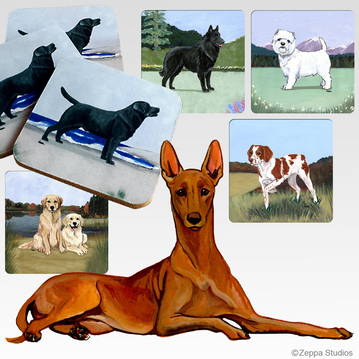 Pharaoh Hound Scenic Coasters