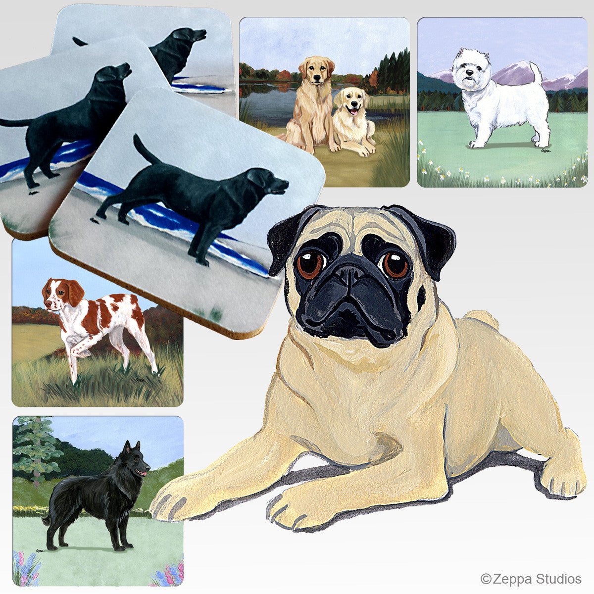 Pug Lying Scenic Coasters