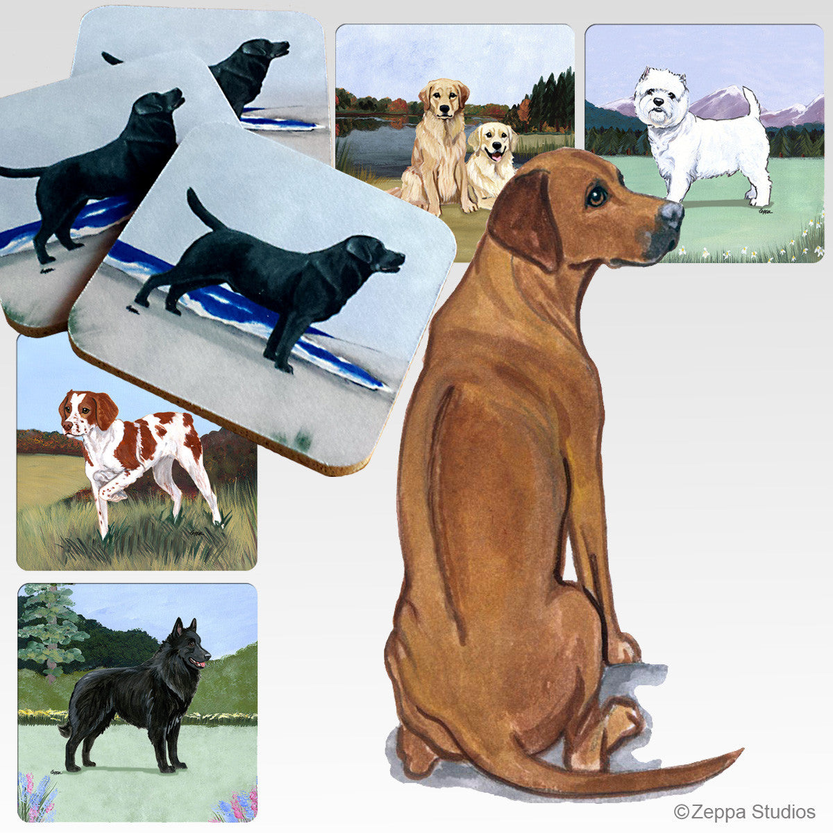 Rhodesian Ridgeback Scenic Coasters