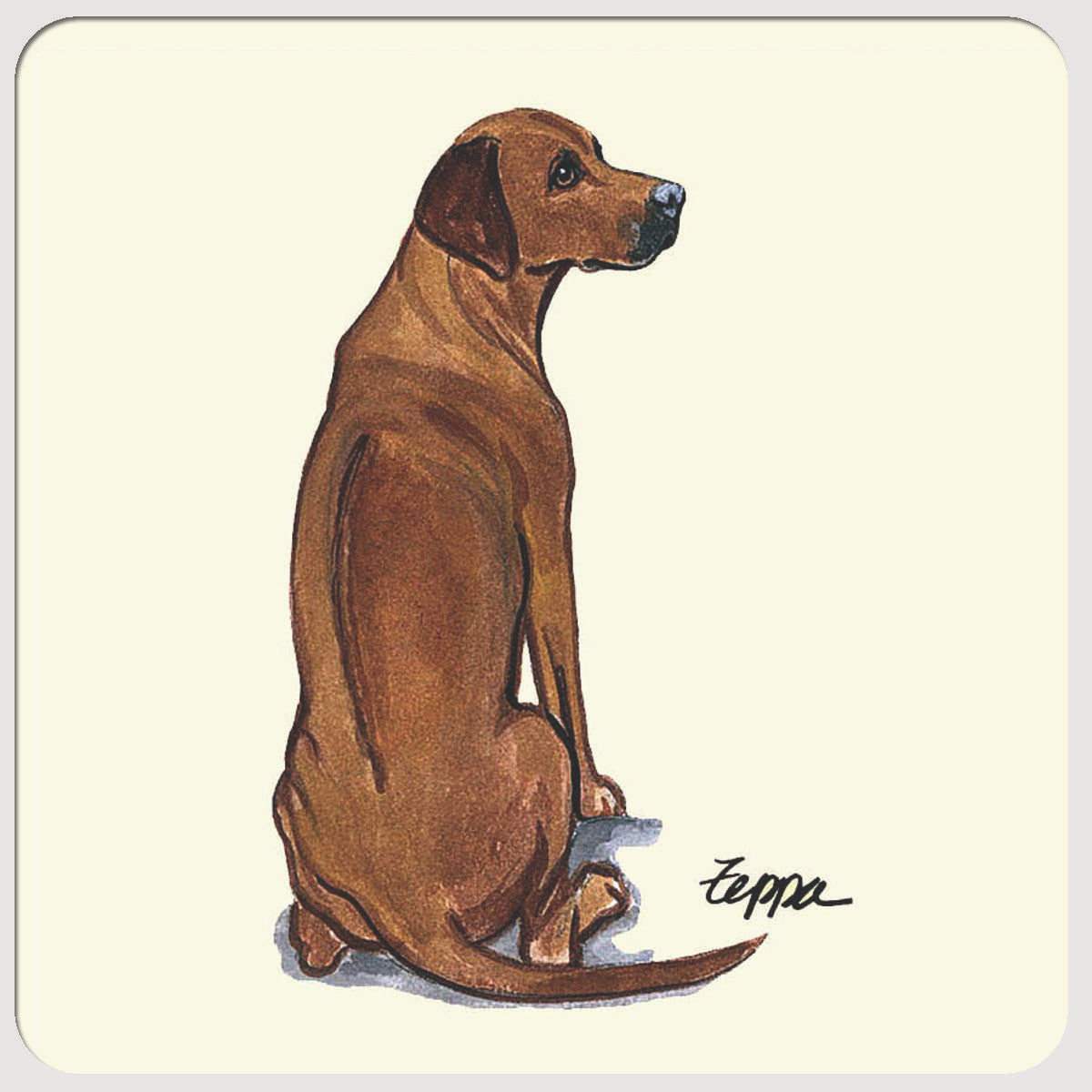 Rhodesian Ridgeback Coasters