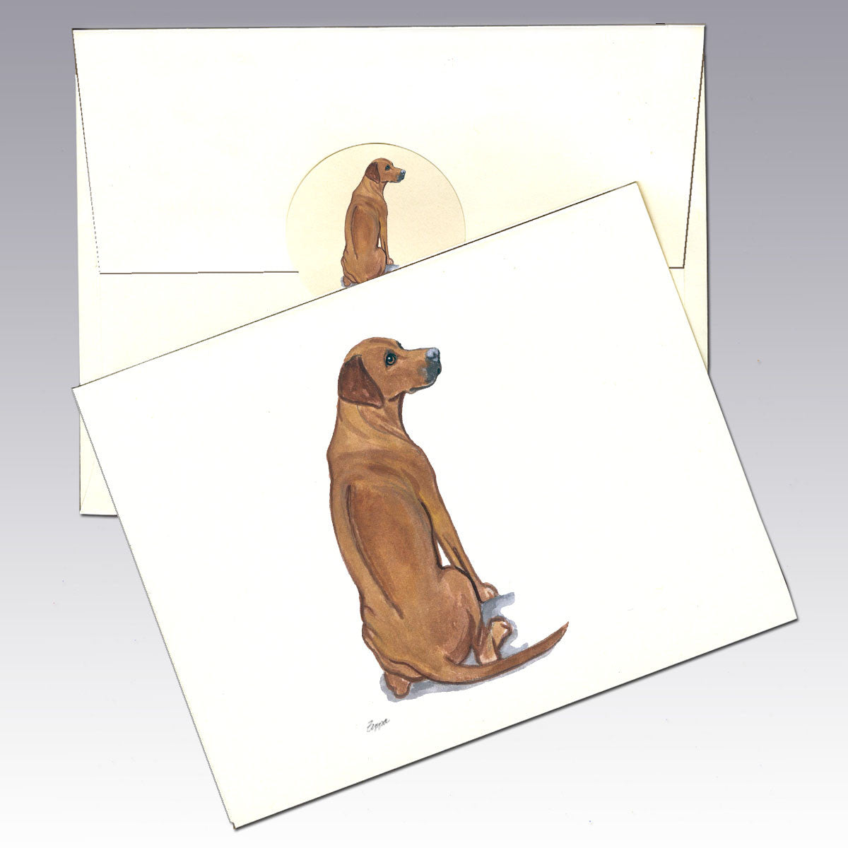 Rhodesian Ridgeback Note Cards