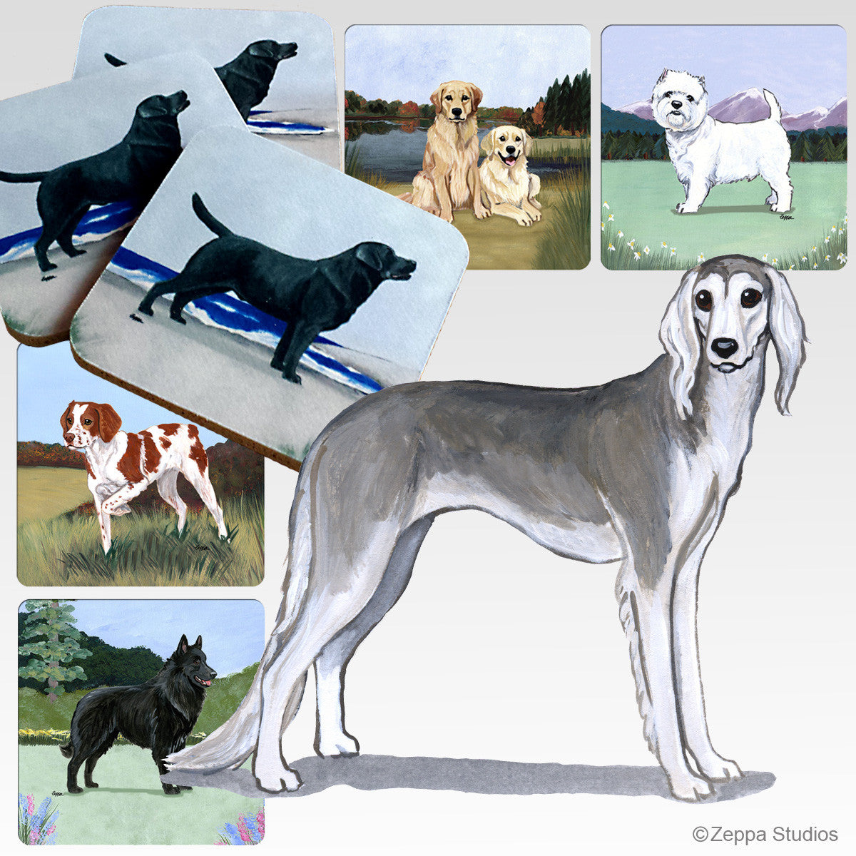 Saluki Scenic Coasters