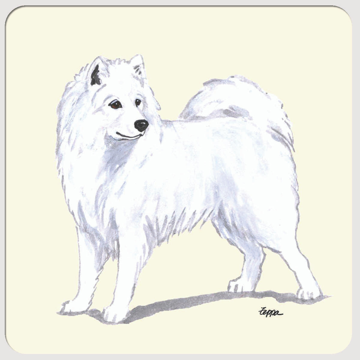 Samoyed Beverage Coasters