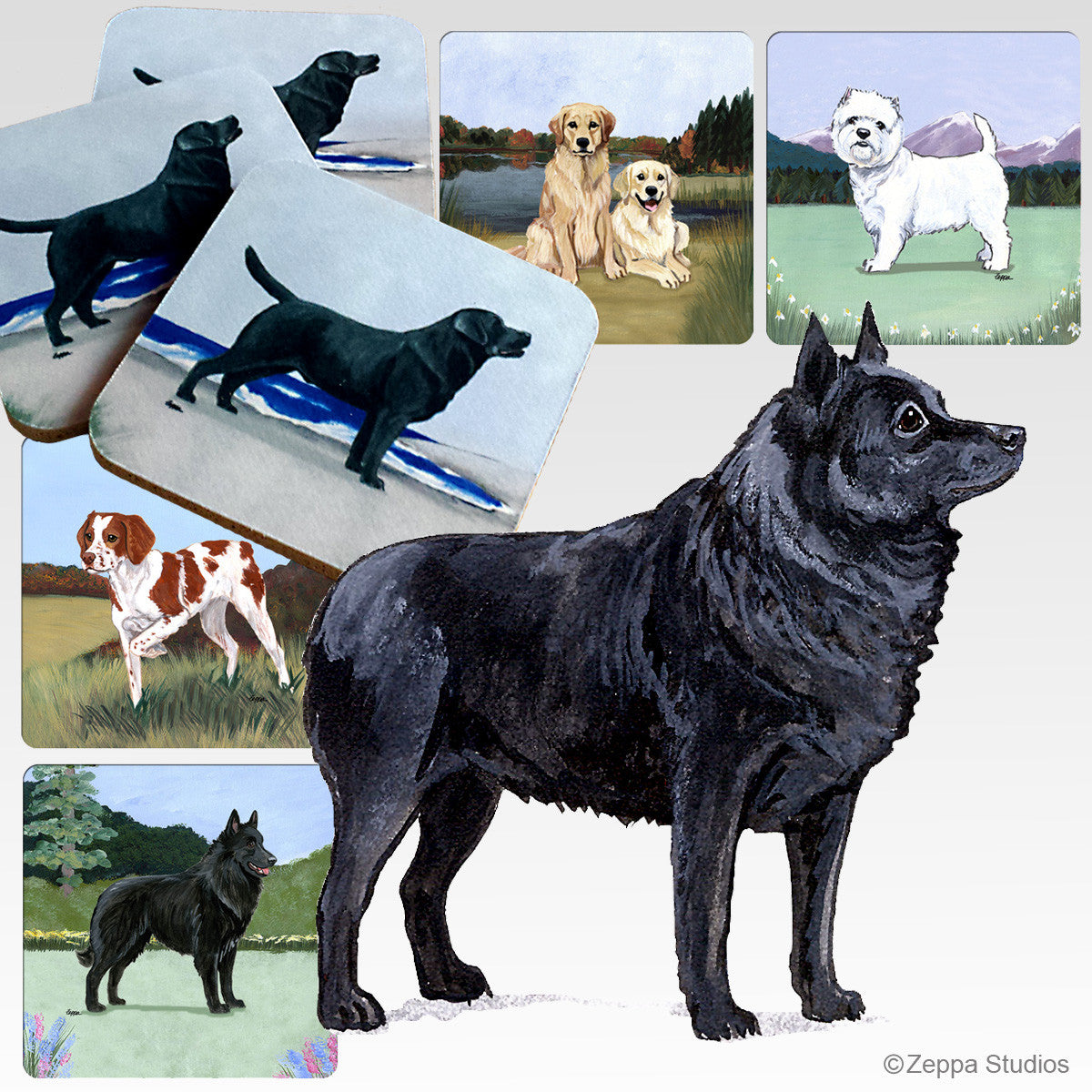 Schipperke Scenic Coasters