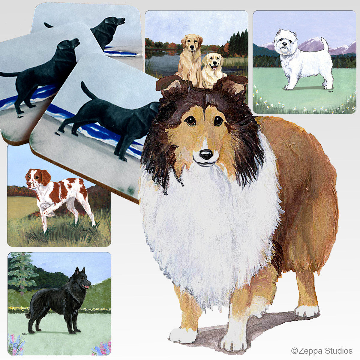 Shetland Sheepdog Scenic Coasters