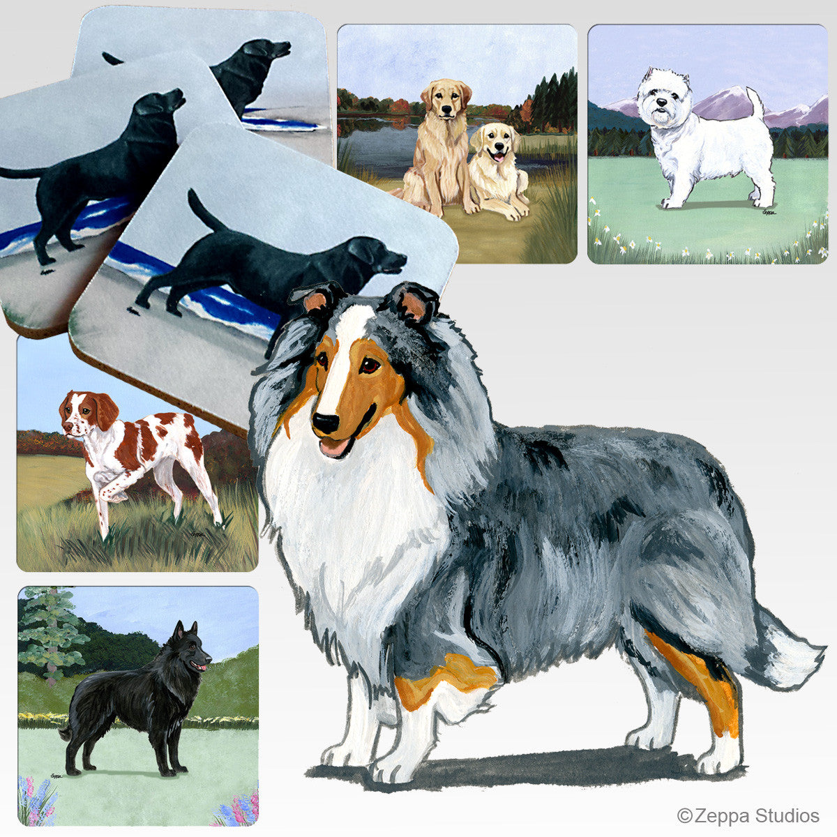 Blue Merle Shetland Sheepdog Scenic Coasters