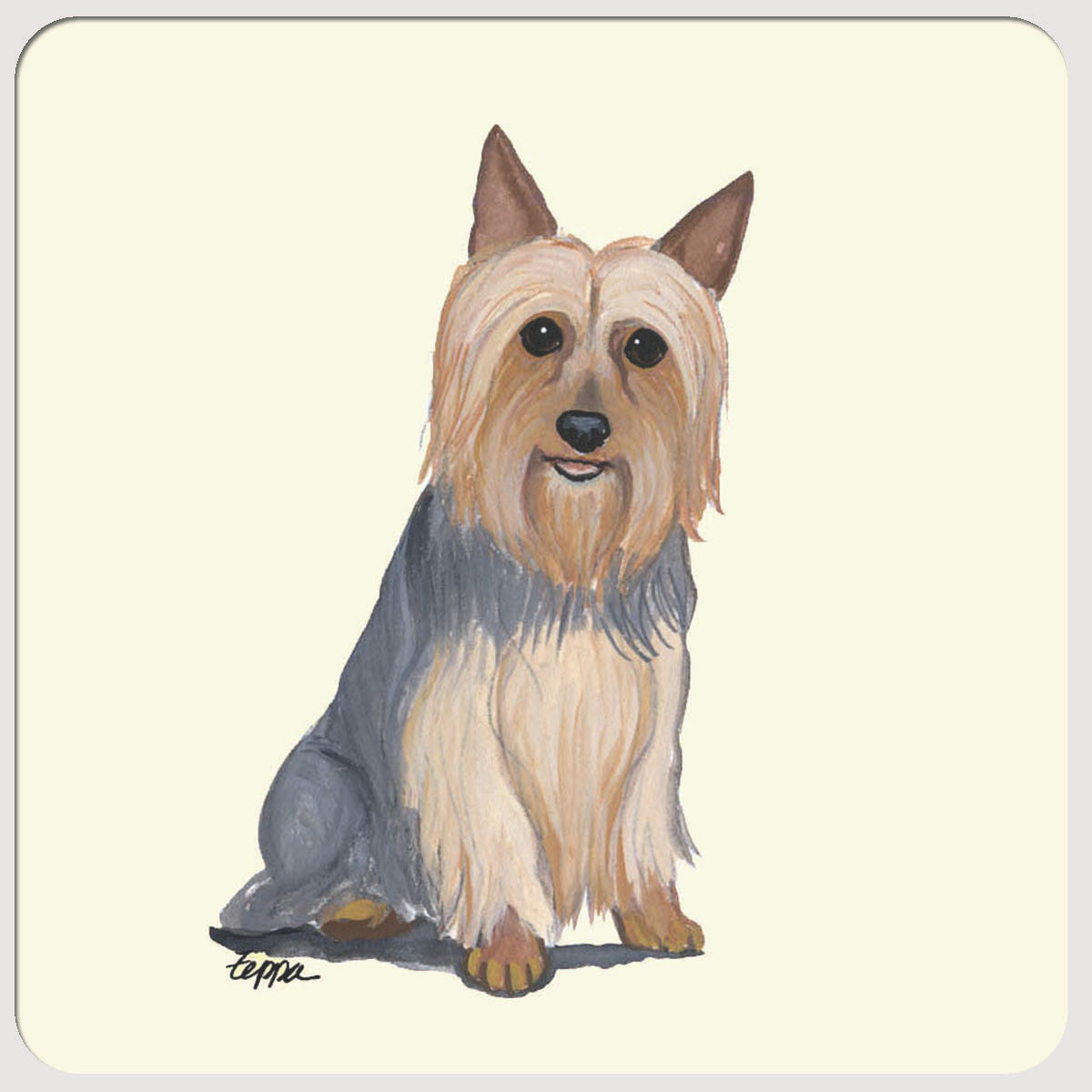 Silky Terrier Beverage Coasters