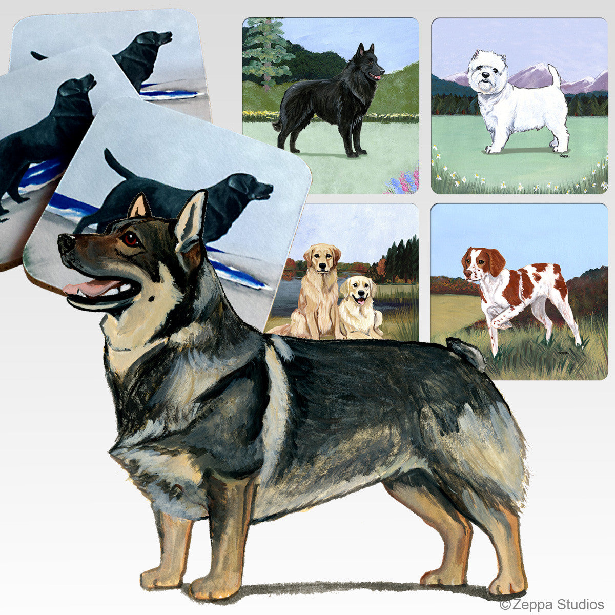 Swdedish Valhund Scenic Coasters