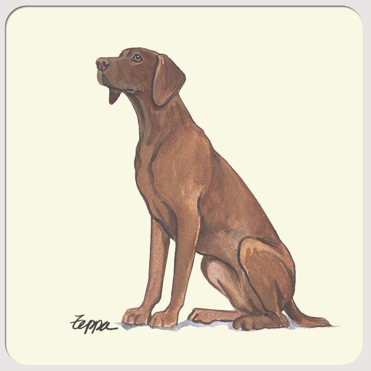 Vizsla Beverage Coasters