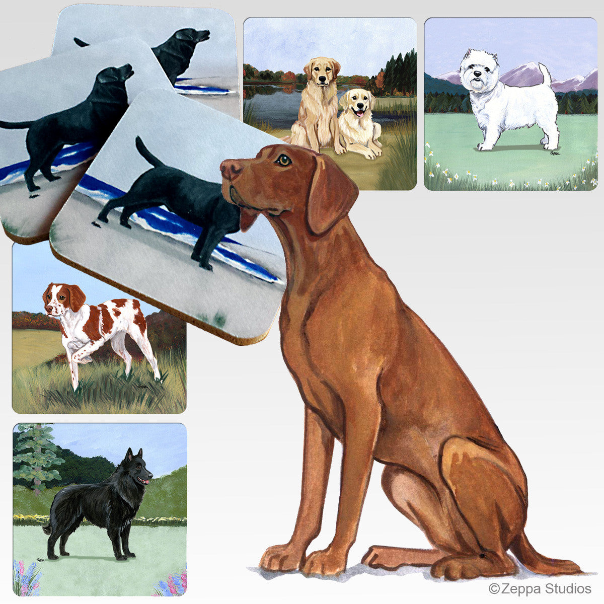 Vizsla Scenic Coasters