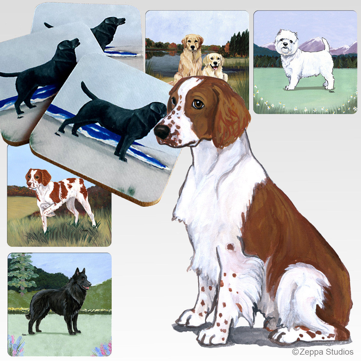 Welsh Springer Spaniel Scenic Coasters
