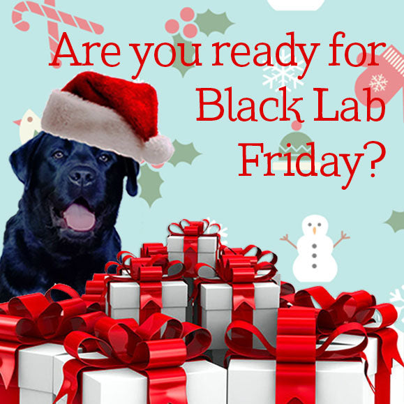Black lab friday sale november 24