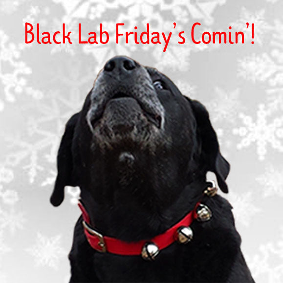 We're Getting Ready for Black Lab Friday