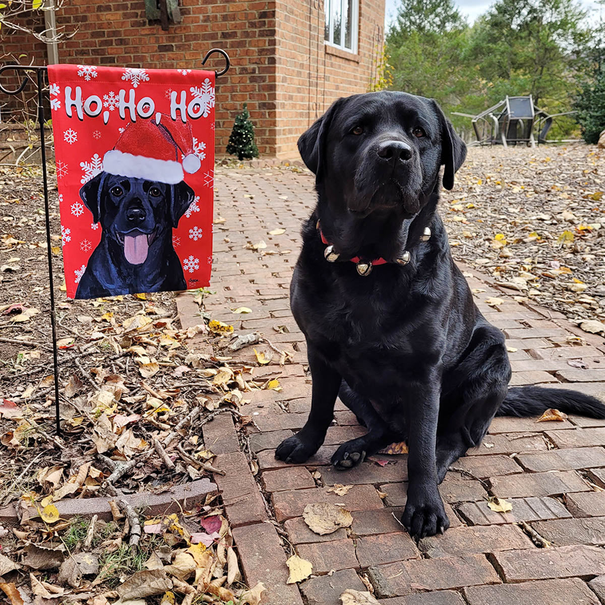 Buck is ready for the holidays, posing in his jingle collar next to a Black Lab Ho Ho Ho Garden Flag